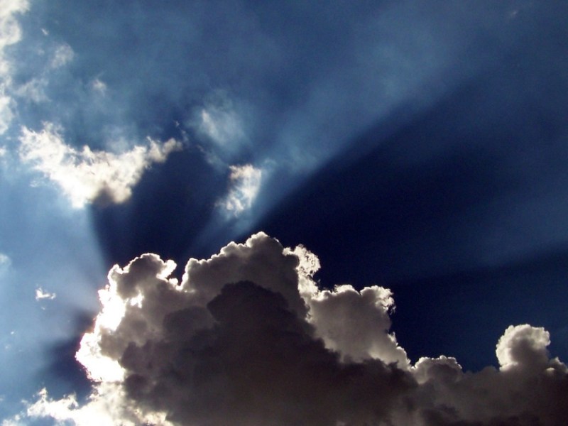 Silver Lining in&nbsp;2020