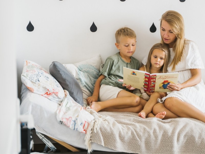 Reducing Fiction Barriers for Autistic&nbsp;Readers