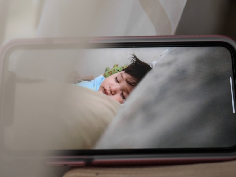 A Brown, Fuzzy Head on a Baby&nbsp;Monitor